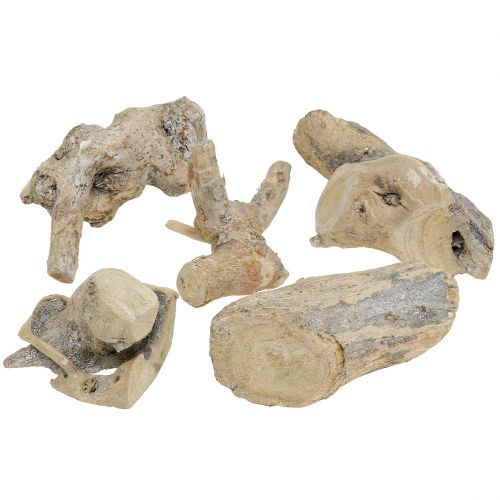 Racine de bois grise lavée 500g