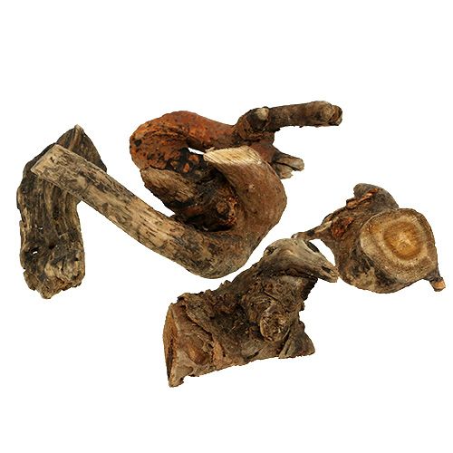 Floristik24 Bois racine nature 6cm-13cm 500g