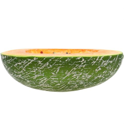 Floristik24 Melon miel demi 22,5 cm orange clair