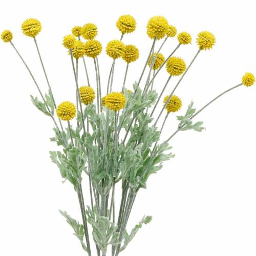 Article Pilon Jaune Craspedia Artificielle Fleurs En Soie