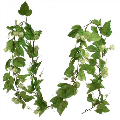 Floristik24 Guirlande de feuilles guirlande de houblon vert artificiel L180cm