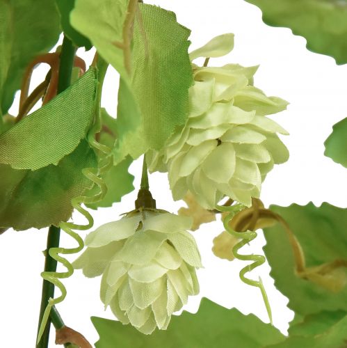 Floristik24 Guirlande de feuilles guirlande de houblon vert artificiel L180cm
