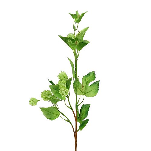 Floristik24 Branche de houblon 70cm vert 2 pièces plante artificielle