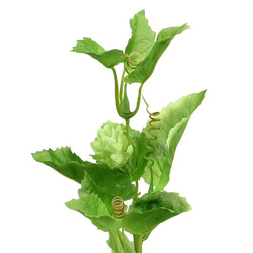 Article Branche de houblon 70cm vert 2pcs Plante artificielle comme la vraie !