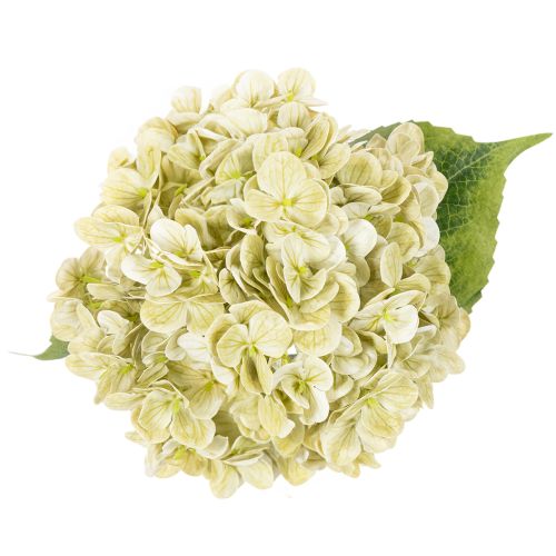 Fleur d'hortensia artificielle à longue tige et feuilles, 60 cm | Floristik24.be