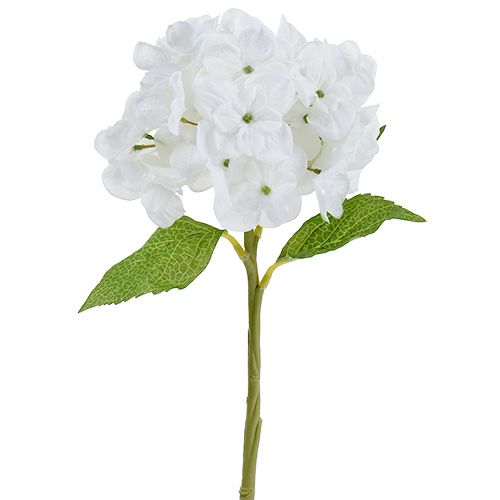 Floristik24 Hortensia 35cm blanc