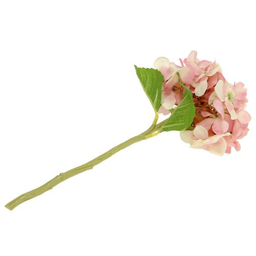 Floristik24 Hortensia rose, crème 36 cm