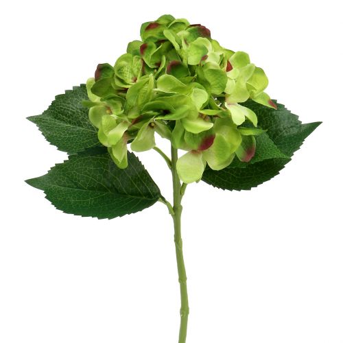 Hortensia vert artificiel pour la décoration L54cm