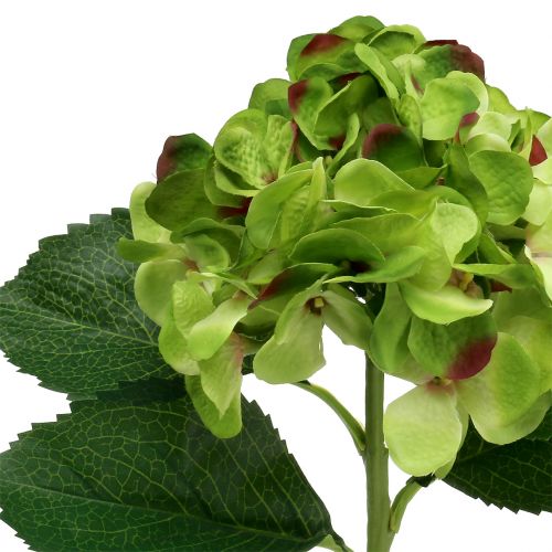 Article Hortensia vert artificiel pour la décoration L54cm