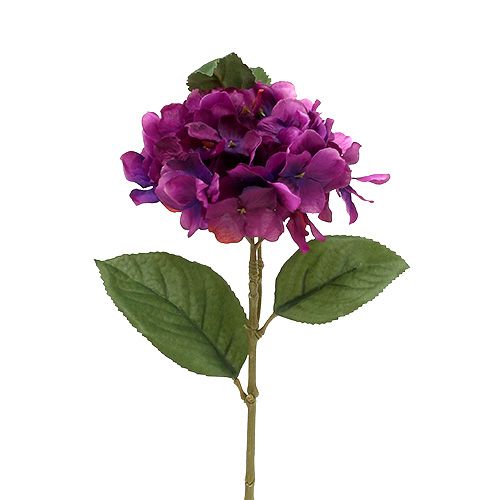 Floristik24 Hortensia mauve 30 cm 3 p.