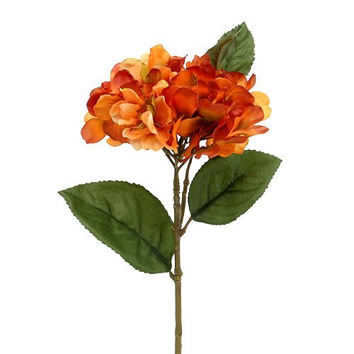 Floristik24 Hortensia orange 30cm 3pcs