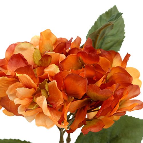 Floristik24 Hortensia orange 30cm 3pcs