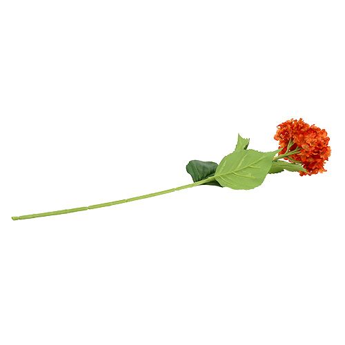 Floristik24 Hortensia orange 80 cm 1 p.