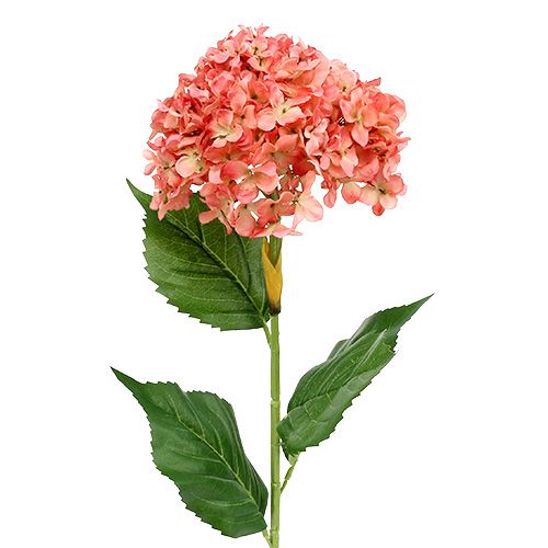 Floristik24 Hortensia rose 80cm 1pc