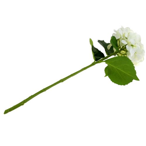 Floristik24 Hortensia blanc L. 54 cm 1 p.