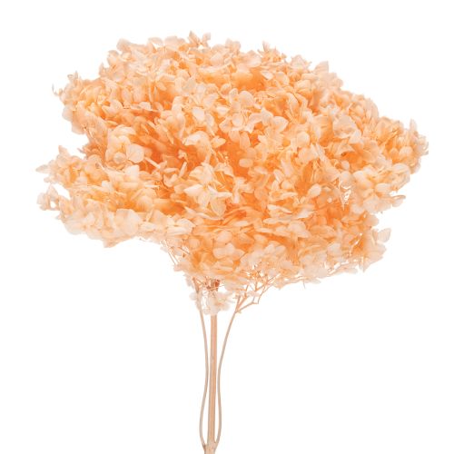 Bouquet de fleurs séchées d'hortensias pour une décoration florale élégante à la maison, 65 cm