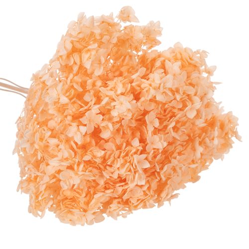 Article Bouquet de fleurs séchées d'hortensias pour une décoration florale élégante à la maison, 65 cm