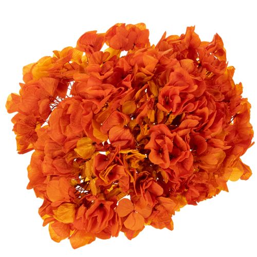 Hortensia stabilisé et teint, grande fleur à longue tige, 60 cm | Floristik24.be