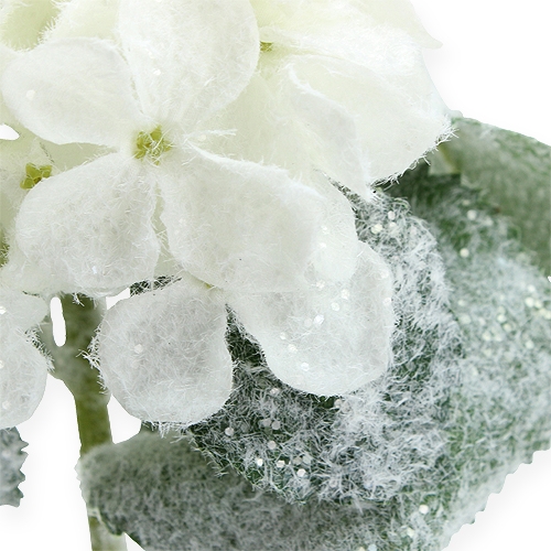 Floristik24 Hortensia blanc effet neige 25cm
