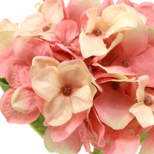 Floristik24 Hortensia beige/rose 35cm