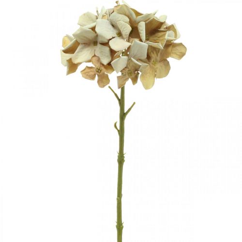 Floristik24 Hortensia fleur artificielle marron, blanc décoration automne fleur en soie H32cm