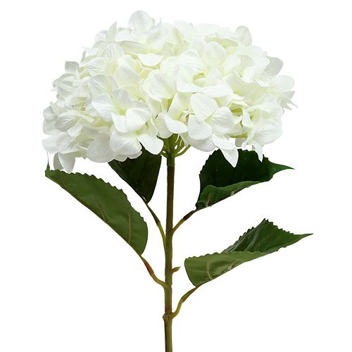 Floristik24 Hortensia Maxi Blanc Ø30cm L113cm