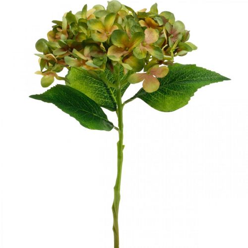 Floristik24 Hortensia artificiel Vert, Jaune fleur artificielle H35cm