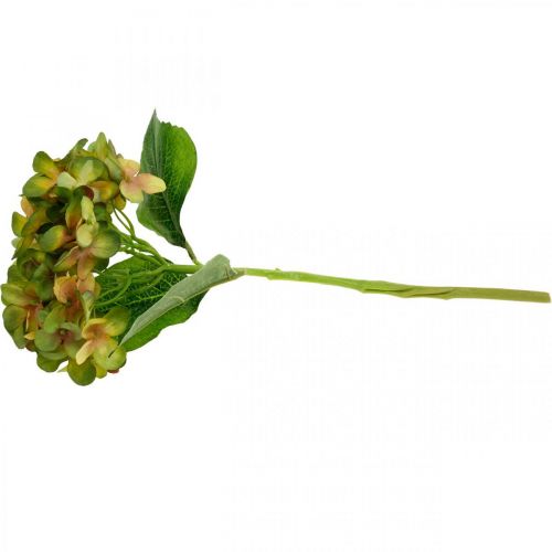 Floristik24 Hortensia artificiel Vert, Jaune fleur artificielle H35cm