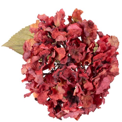 Branche d'hortensia artificielle en fleurs, grande fleur, 74 cm | Floristik24.be