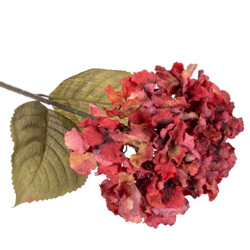 Branche d'hortensia artificielle en fleurs, grande fleur, 74 cm | Floristik24.be