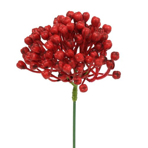 Floristik24 Pique-boutons d&#39;hortensia 22cm rouge 12pcs