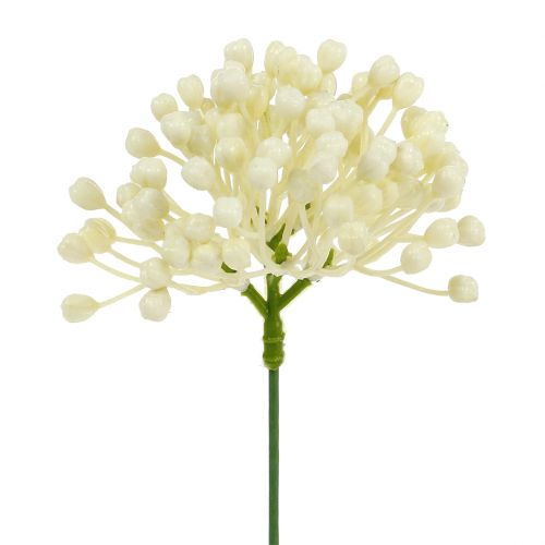 Pic à bourgeons d&#39;hortensia 22cm crème 12pcs
