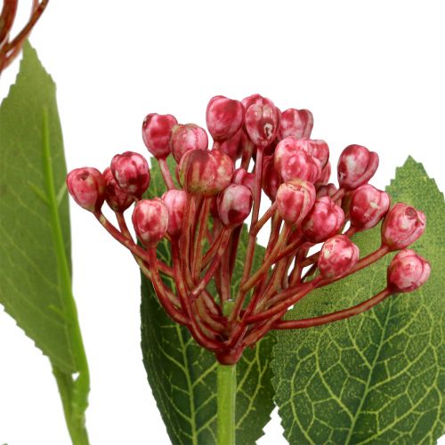 Floristik24 Branche de bourgeon d'hortensia 55cm rose 6pcs