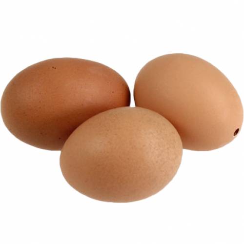 Floristik24 Oeufs de poule bruns 10 pcs