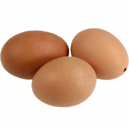 Article Oeufs de poulet brun 10pcs