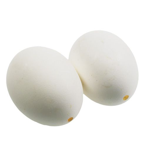 Floristik24 Oeufs de poule blancs 10 pcs
