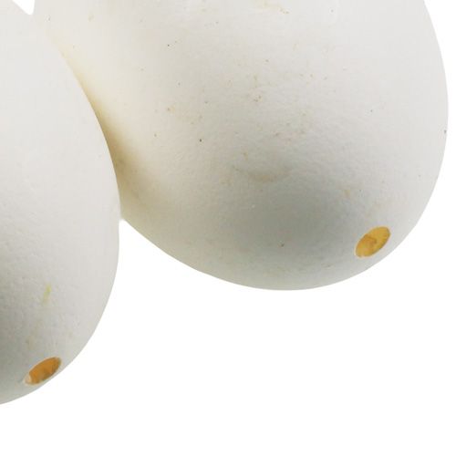Floristik24 Oeufs de poule blancs 10 pcs
