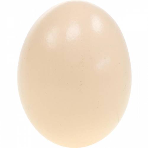 Article Oeufs de poule crème décoration de Pâques oeufs soufflés 10 pcs