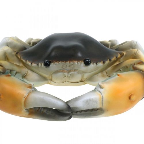 Floristik24 Créature marine, crabe de plage, décoration maritime brun orangé 31×25cm
