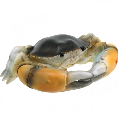 Floristik24 Créature marine, crabe de plage, décoration maritime brun orangé 31×25cm