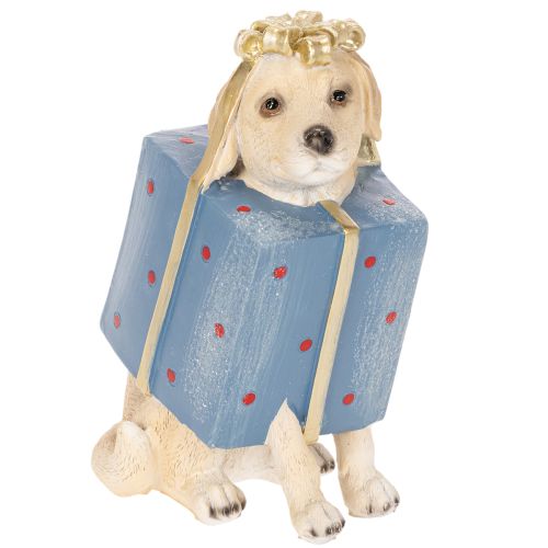 Figurine décorative représentant un chiot assis, présentée dans une boîte cadeau, 20 cm acheter | Floristik24.be