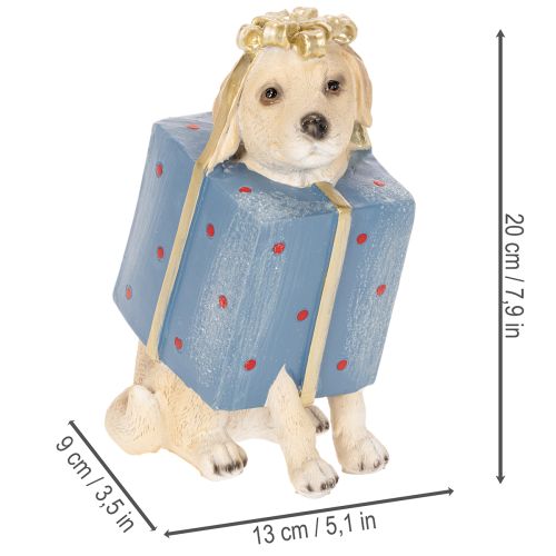 Figurine décorative représentant un chiot assis, présentée dans une boîte cadeau, 20 cm | Floristik24.be