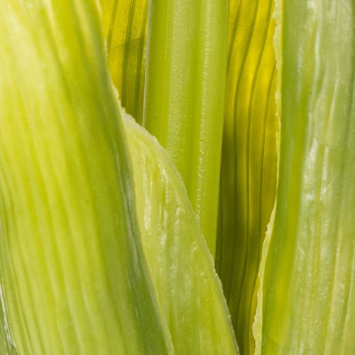 Article Jacinthe Real-Touch Rose 40cm