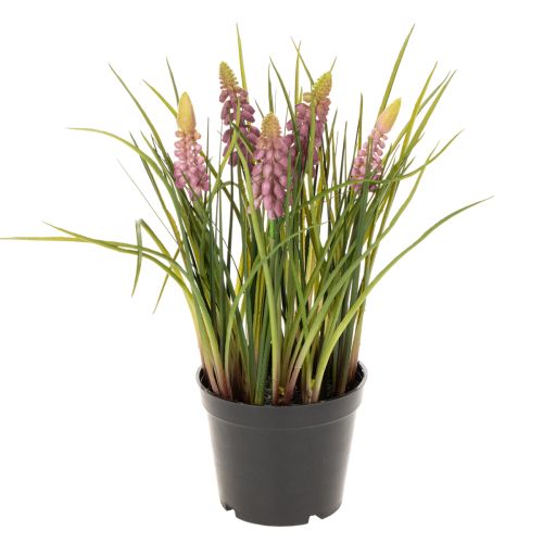 Floristik24 Jacinthe artificielle en pot, décoration idéale pour la maison et le bureau, 26 cm
