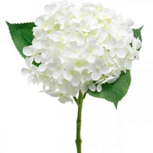 Floristik24 Hortensia artificiel blanc 53cm