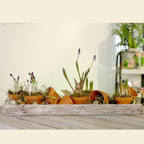 Article Pot de fleurs en argile Ø3,5cm H3cm 10 pcs