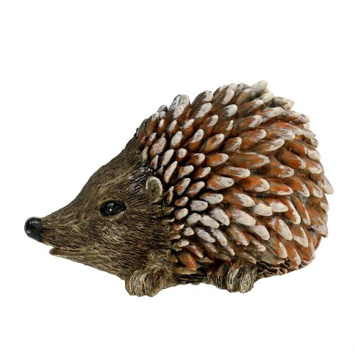 Floristik24 Figurine Hérisson Brun 8cm