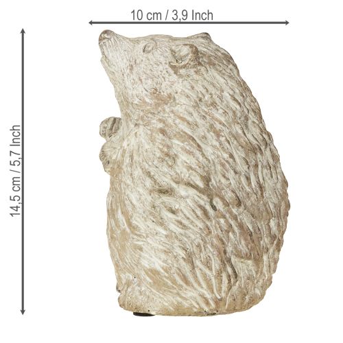 Floristik24 Figurine décorative d&#39;automne en forme de hérisson en pierre moulée blanche lavée H14,5 cm