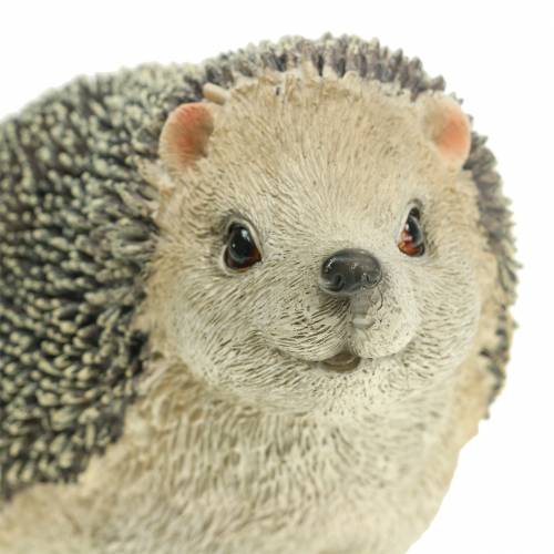 Floristik24 Figurine décorative hérisson 22cm