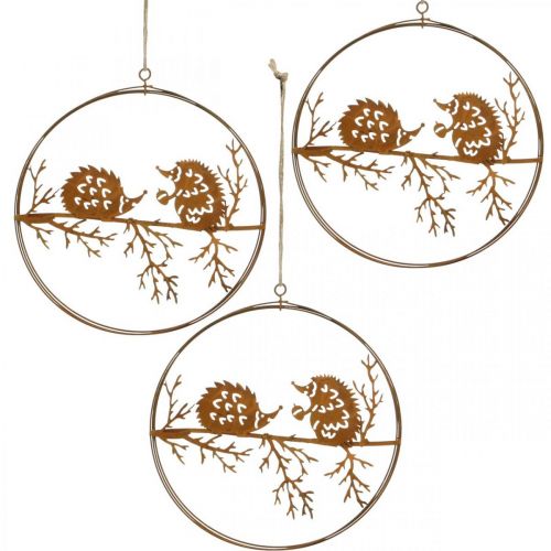 Floristik24 Suspension en métal, hérisson sur branche, décoration automne, anneau décoratif patiné Ø15,5cm 3 pièces